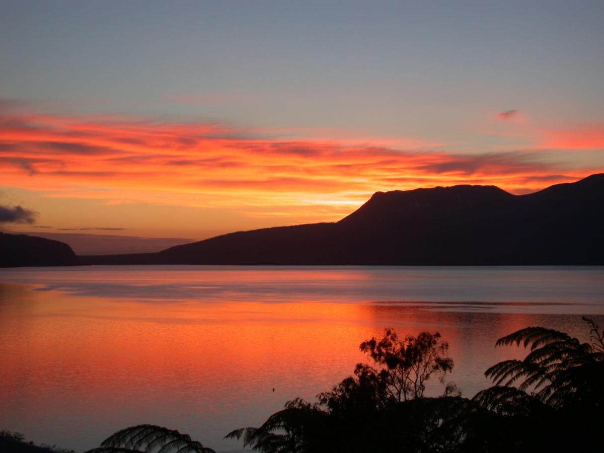 Hotel Te Whare -Lake Tarawera Tree-Top Nest Zewnętrze zdjęcie